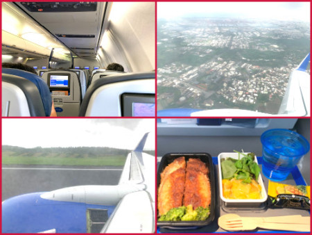 059 Flight to Narita